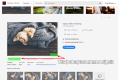 fotolia.png
